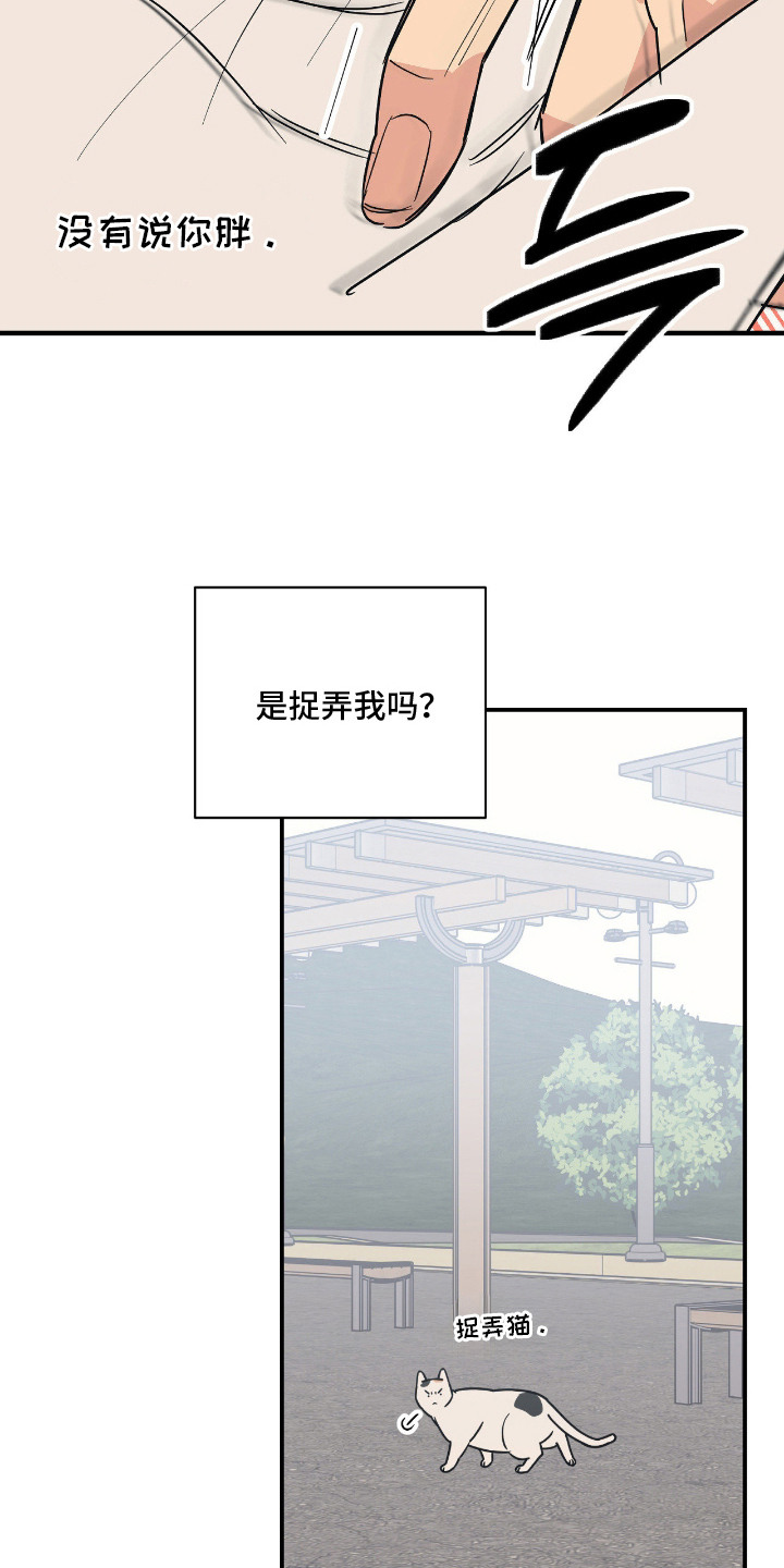 猫大爷和我漫画,第11章：不能不管4图