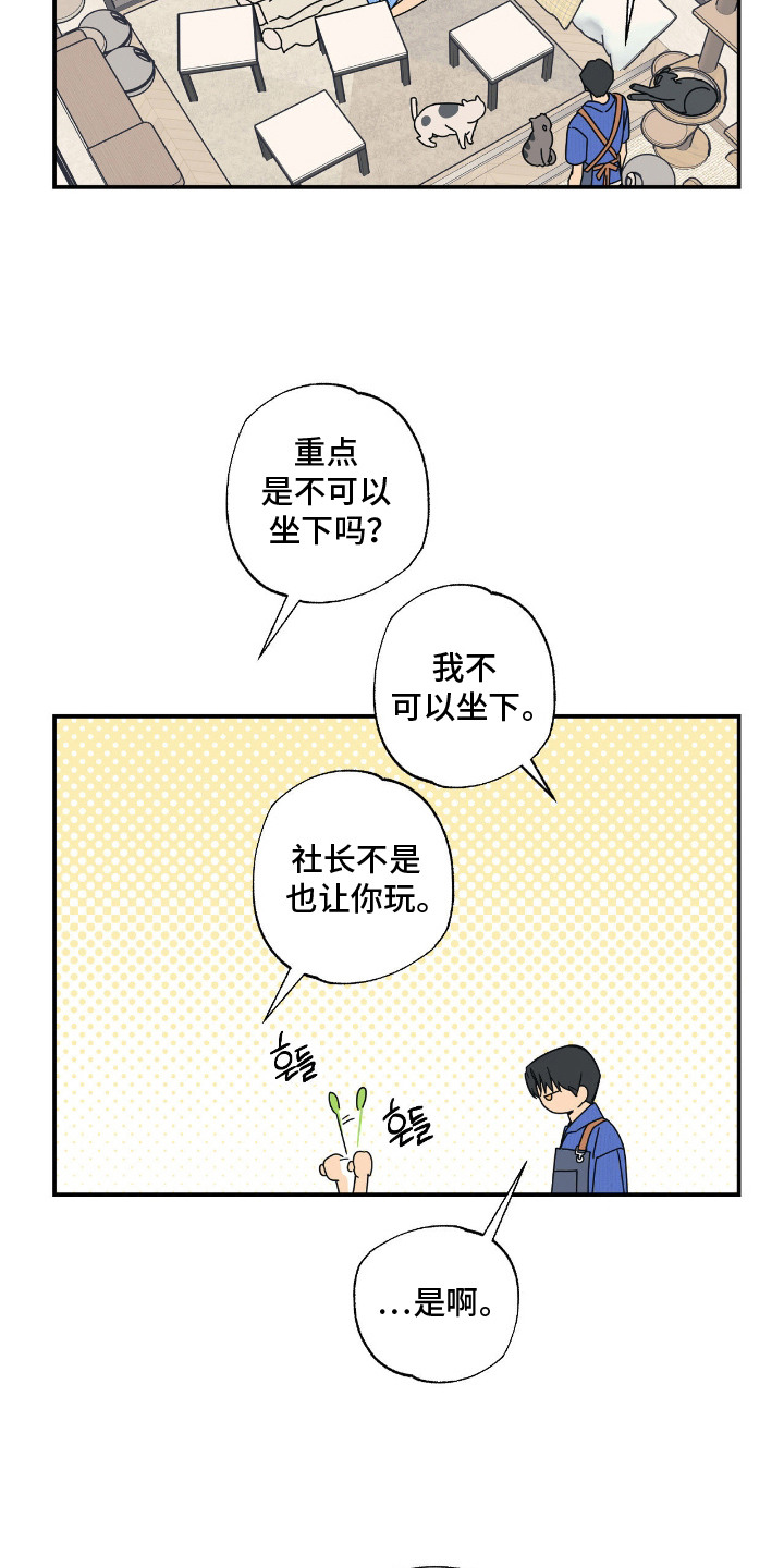 猫大爷和我漫画,第7章：试探1图