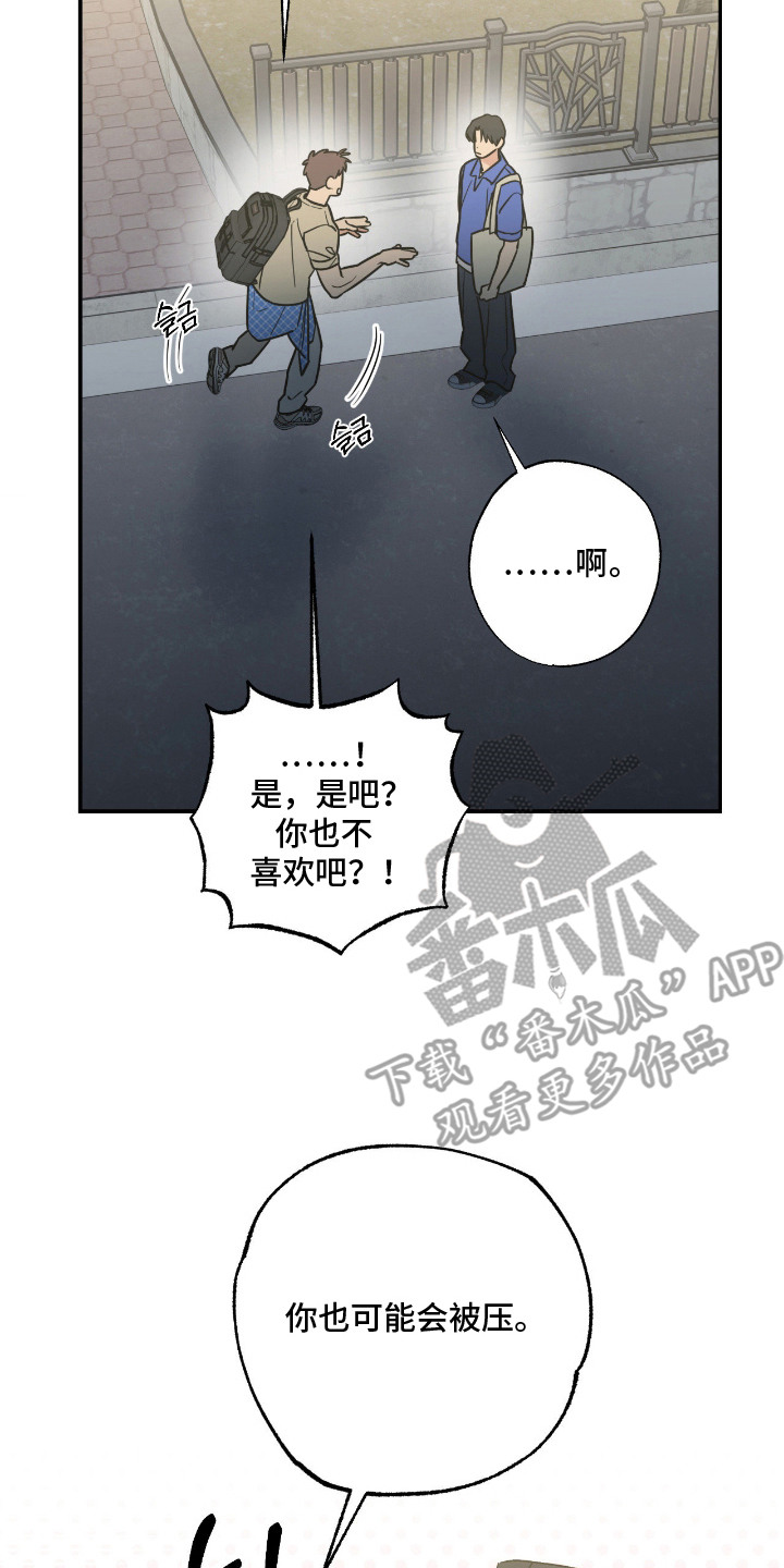 猫大爷和我漫画,第8章：不浪漫2图