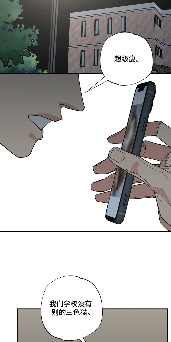 猫大爷和我漫画,第11章：不能不管1图