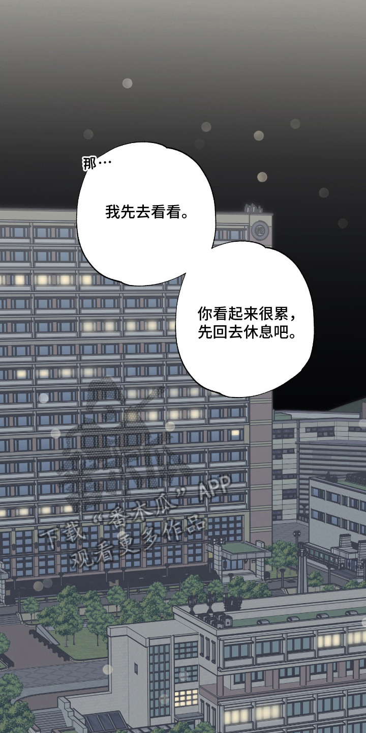 猫大爷和我漫画,第13章：误会4图