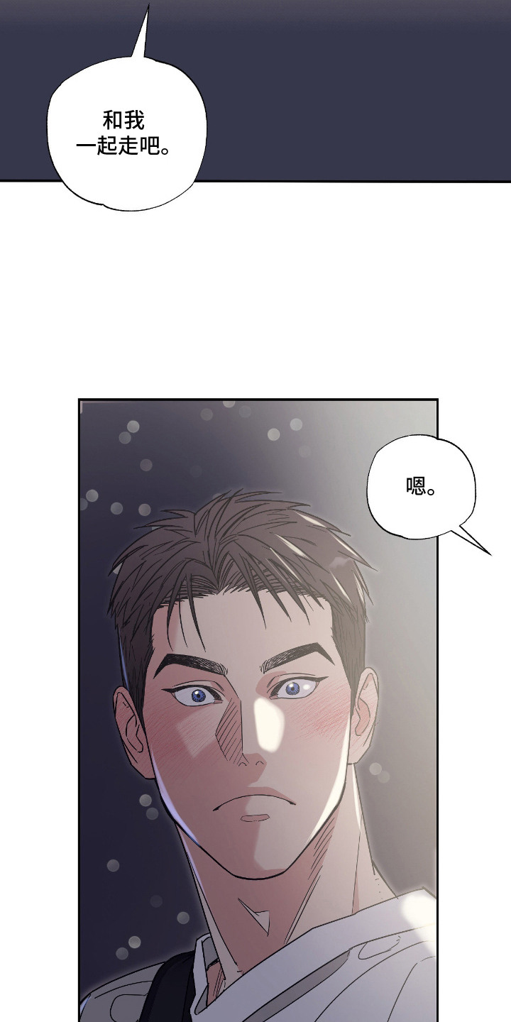 猫大爷和我漫画,第2章：野猫4图