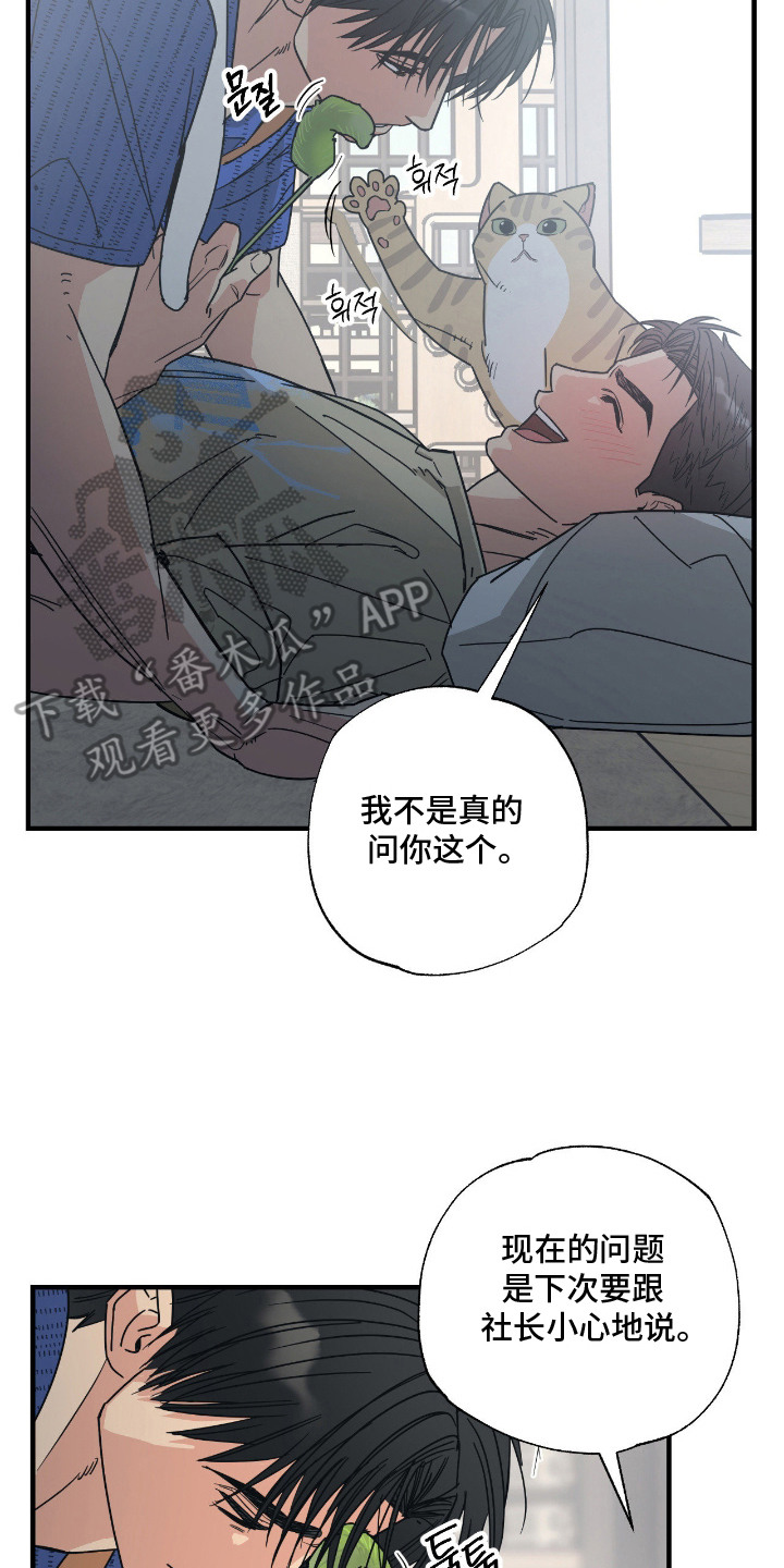 猫大爷和我漫画,第7章：试探5图