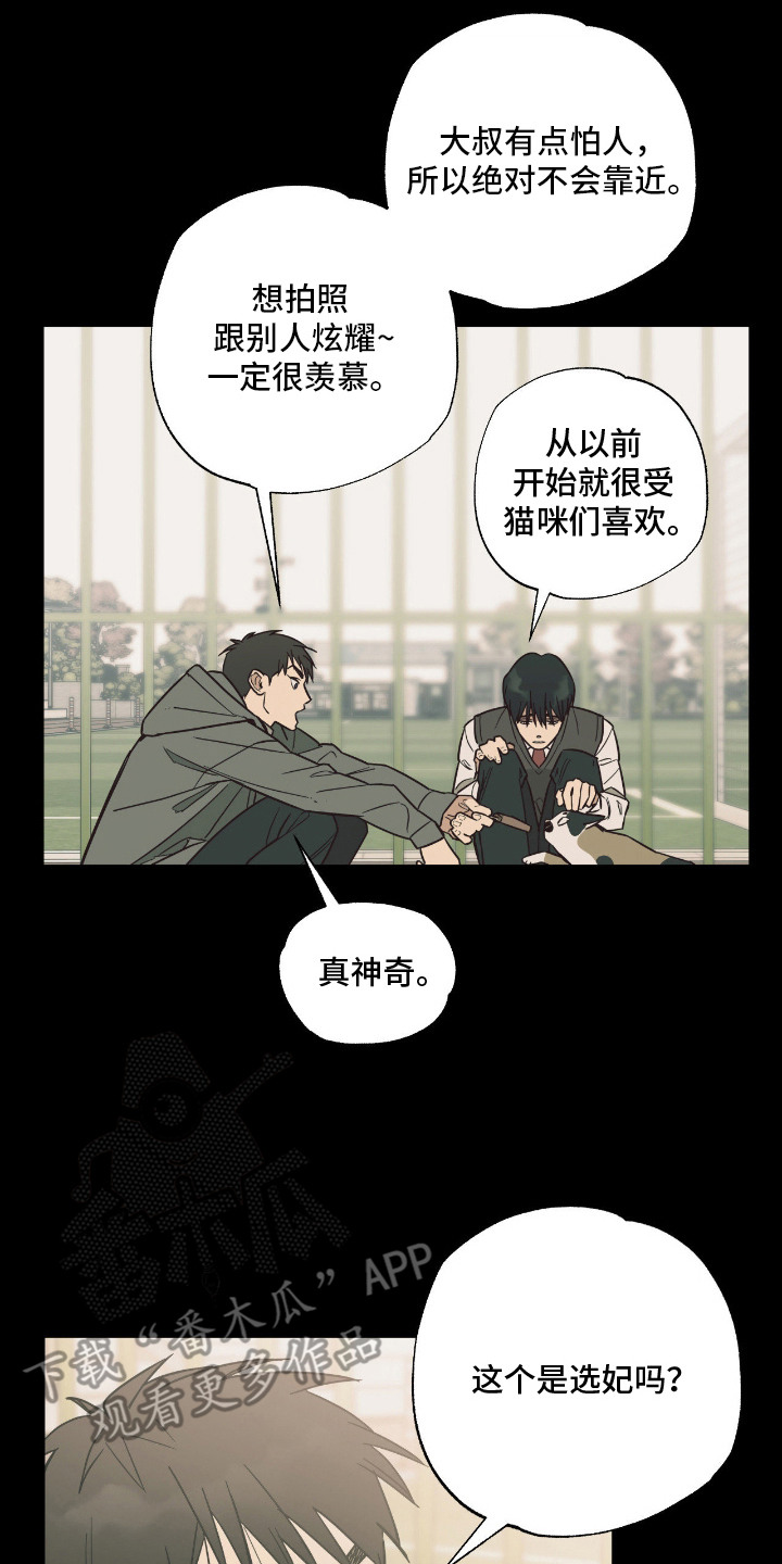 猫大爷和我漫画,第1章：老朋友5图