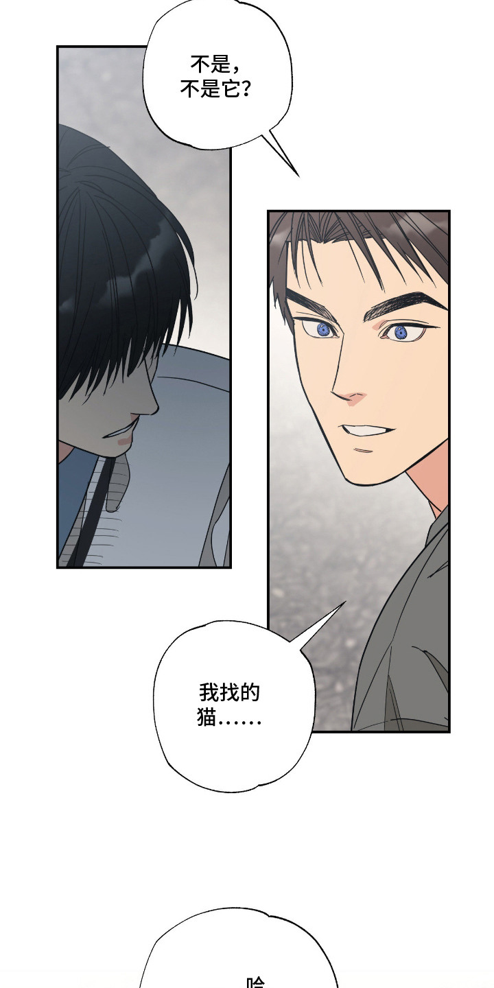 猫大爷和我漫画,第10章：喜欢你1图