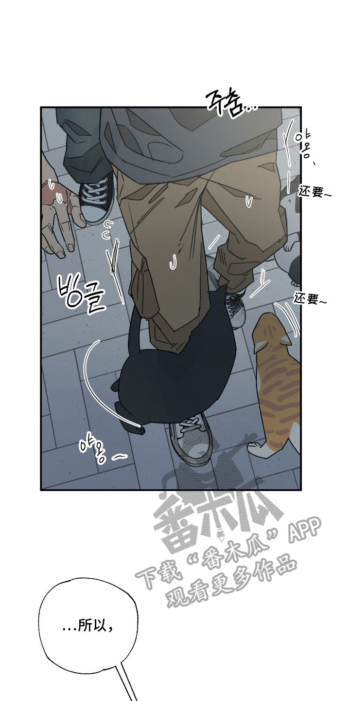 猫大爷和我漫画,第12章：没交往过2图