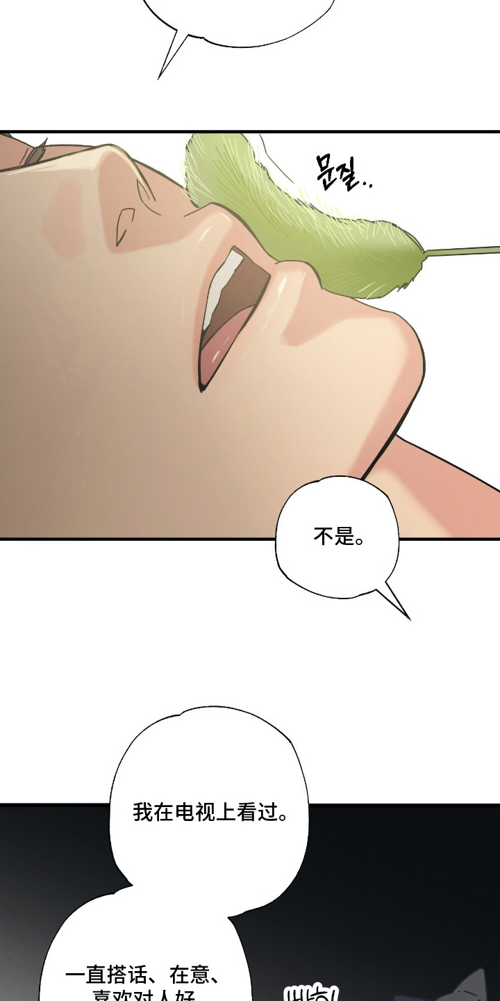 猫大爷和我漫画,第7章：试探5图
