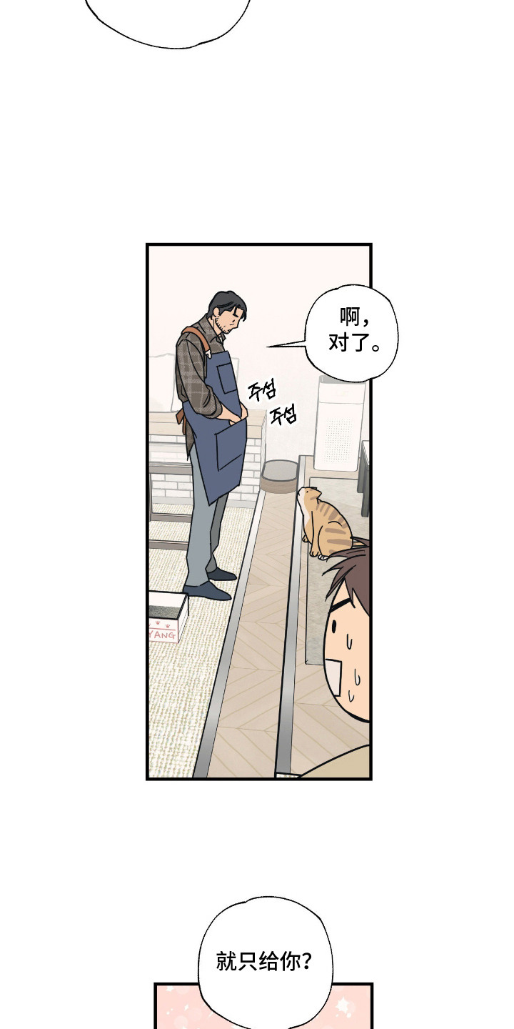 猫大爷和我漫画,第7章：试探3图