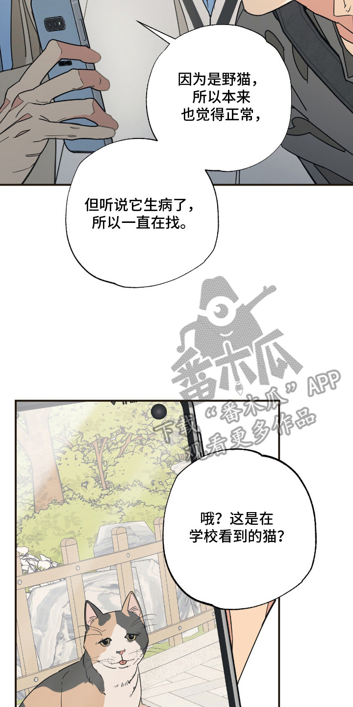 猫大爷和我漫画,第13章：误会3图