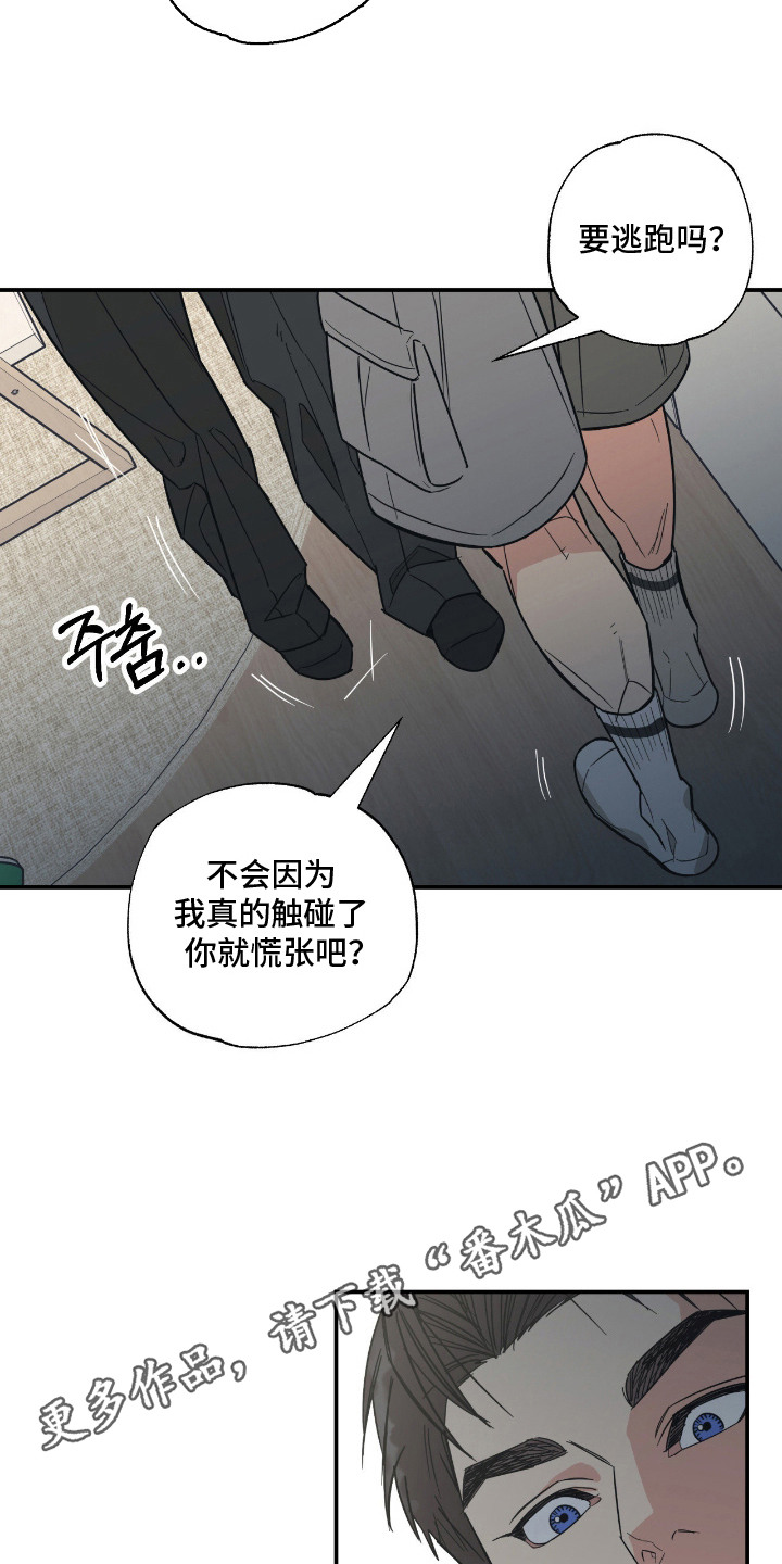猫大爷和我漫画,第4章：慌张1图