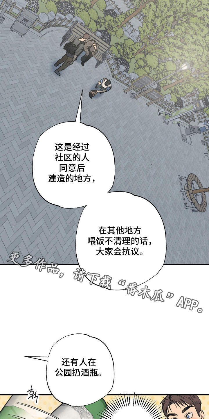 猫大爷和我漫画,第13章：误会5图