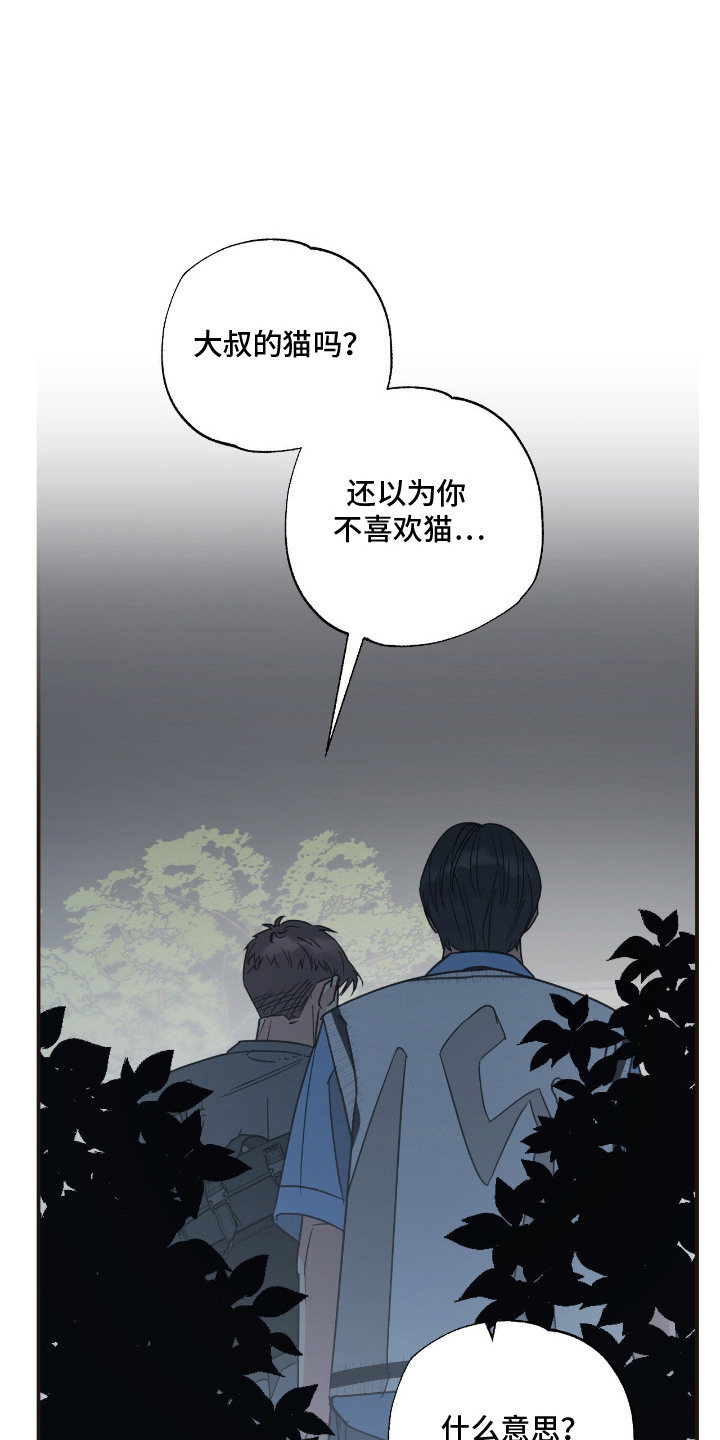 猫大爷和我漫画,第13章：误会1图