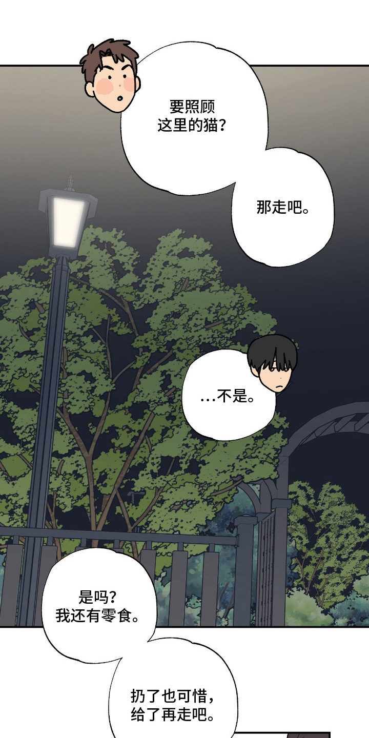 猫大爷和我漫画,第11章：不能不管4图