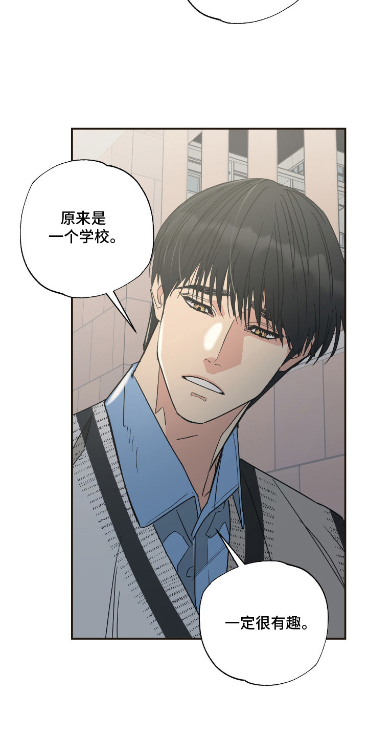 猫大爷和我漫画,第14章：坦诚4图