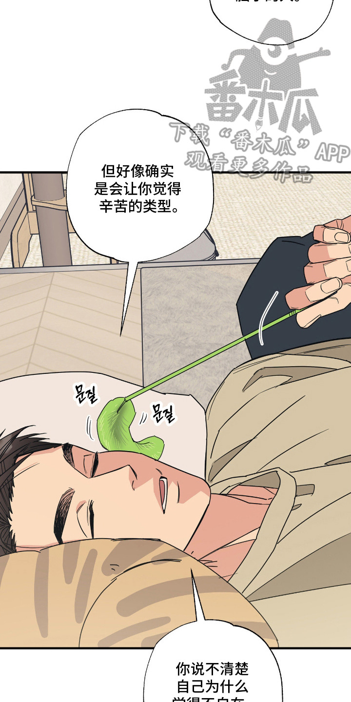 猫大爷和我漫画,第7章：试探3图