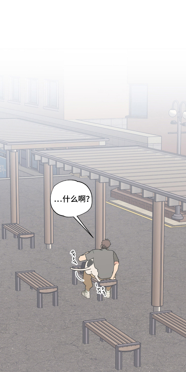 猫大爷和我漫画,第11章：不能不管1图