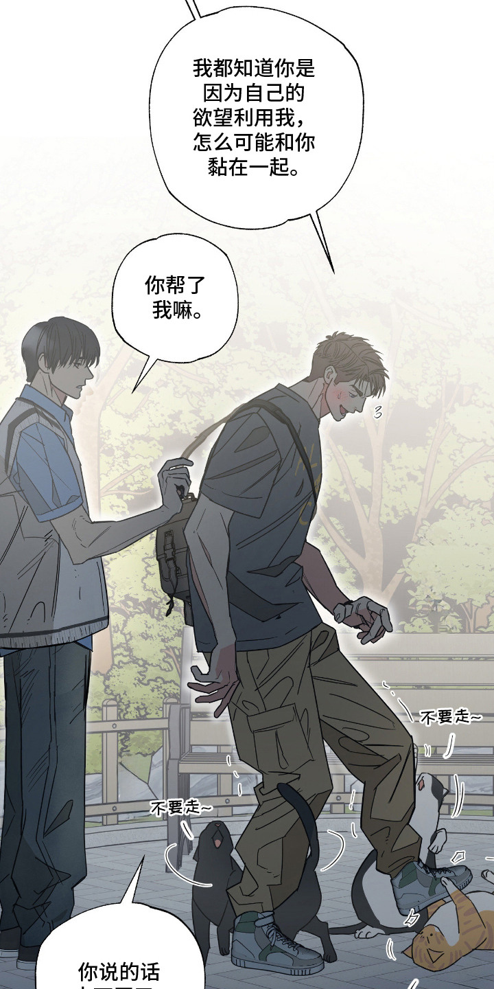 猫大爷和我漫画,第12章：没交往过3图