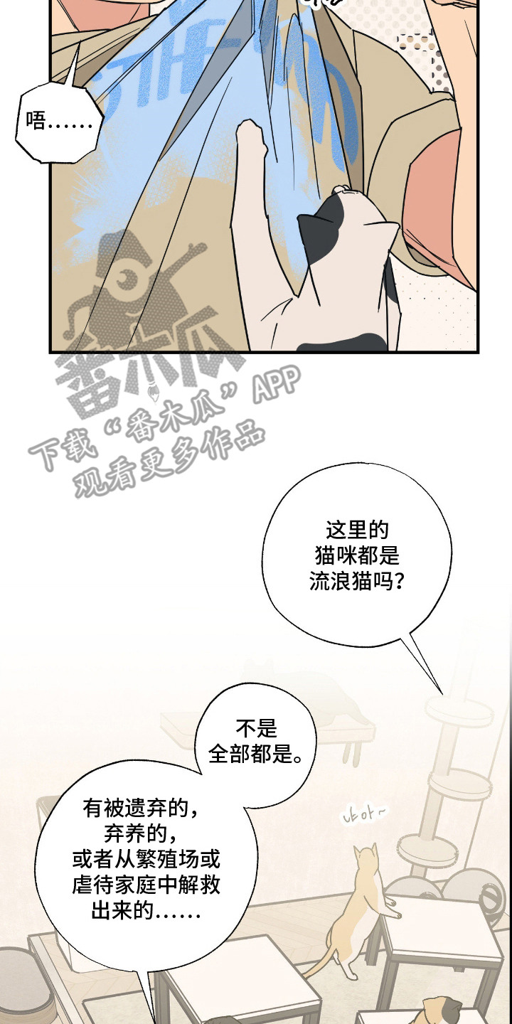 猫大爷和我漫画,第6章：大叔5图