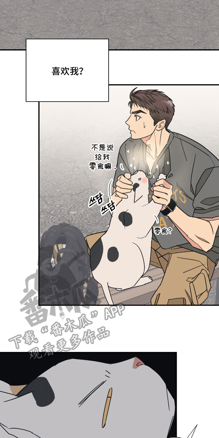 猫大爷和我漫画,第11章：不能不管2图