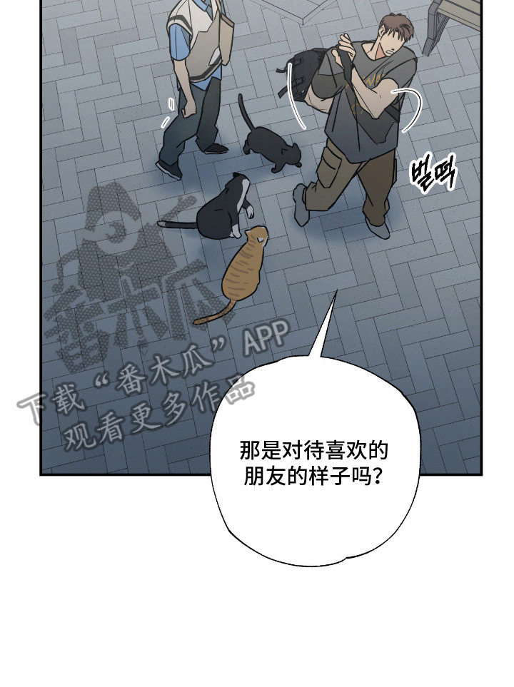 猫大爷和我漫画,第11章：不能不管5图