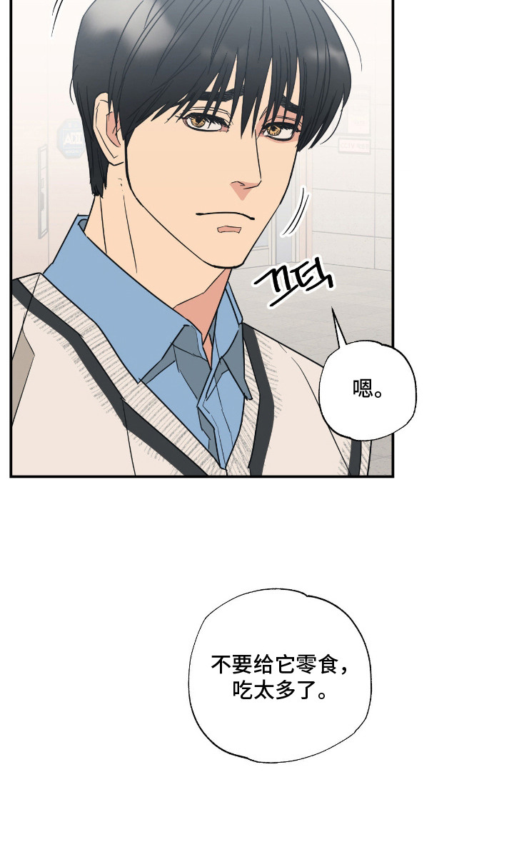 猫大爷和我漫画,第10章：喜欢你3图
