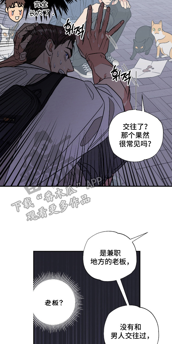 猫大爷和我漫画,第2章：野猫2图