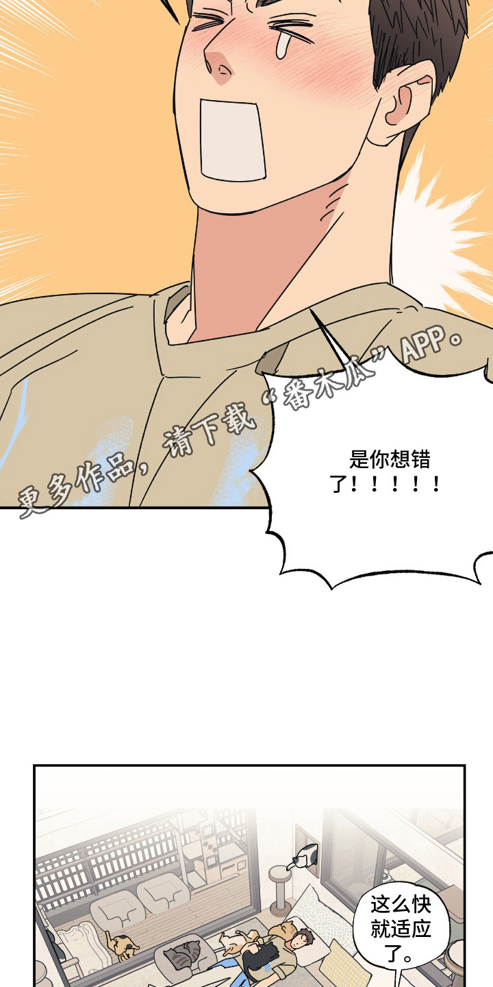 猫大爷和我漫画,第7章：试探5图