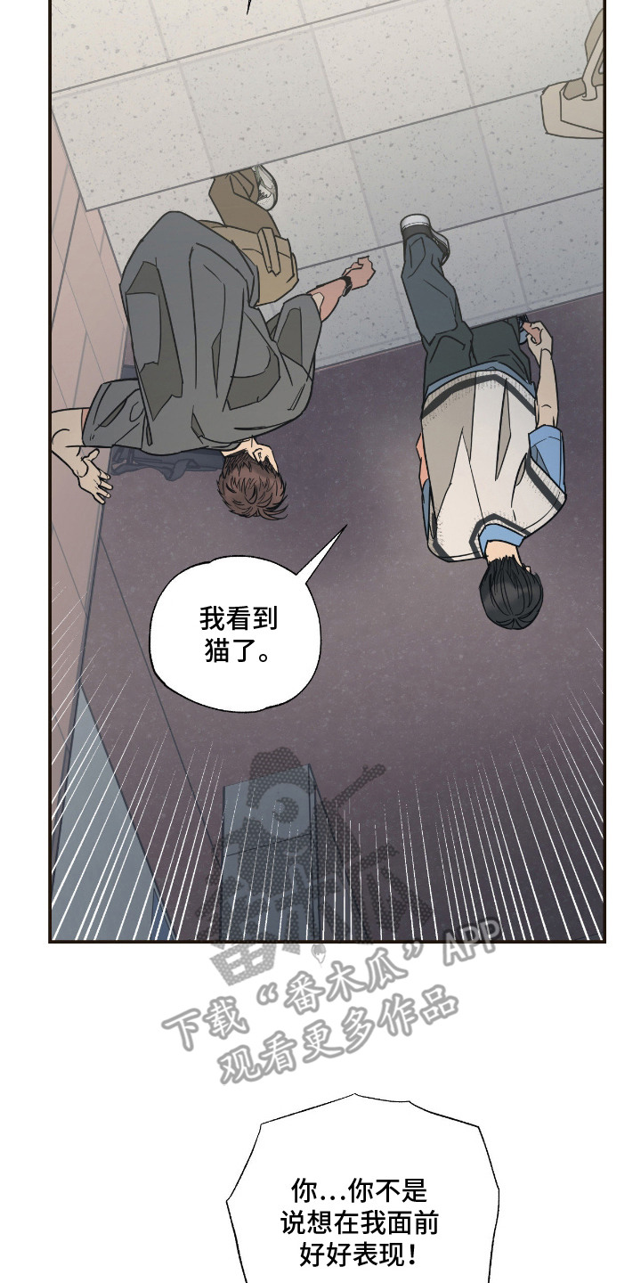 猫大爷和我漫画,第14章：坦诚5图