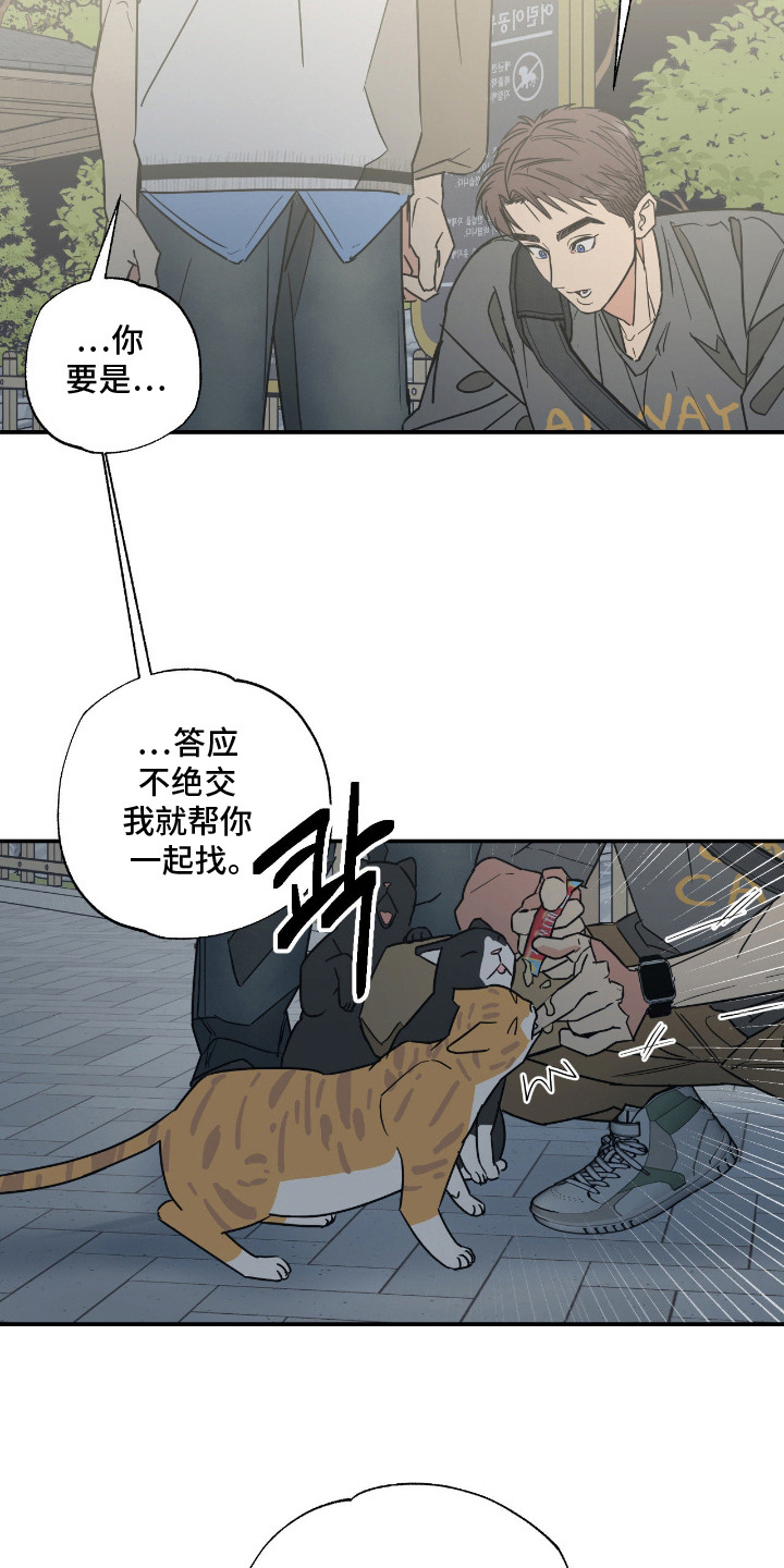猫大爷和我漫画,第11章：不能不管3图