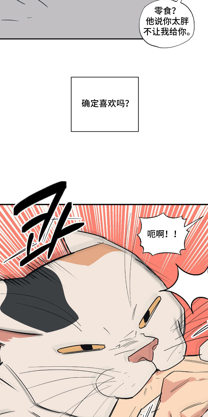 猫大爷和我漫画,第11章：不能不管3图