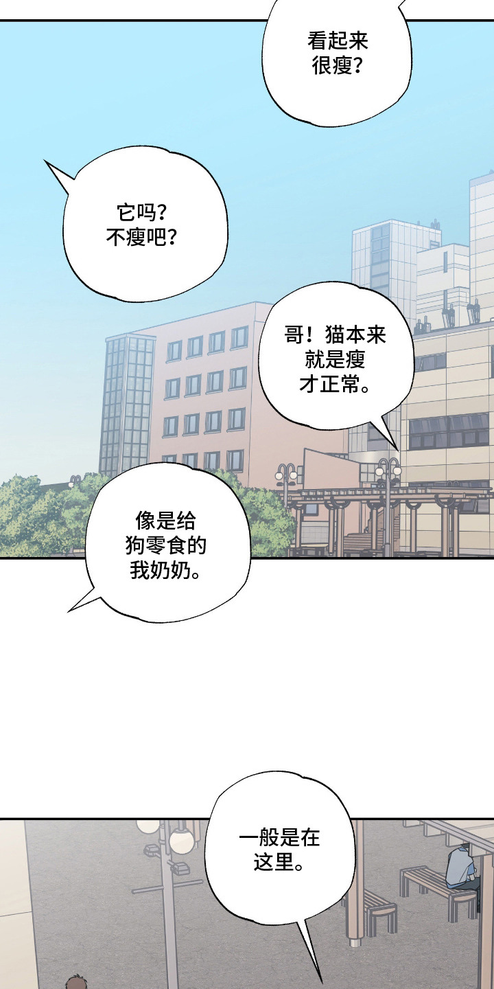 猫大爷和我漫画,第9章：绝交4图