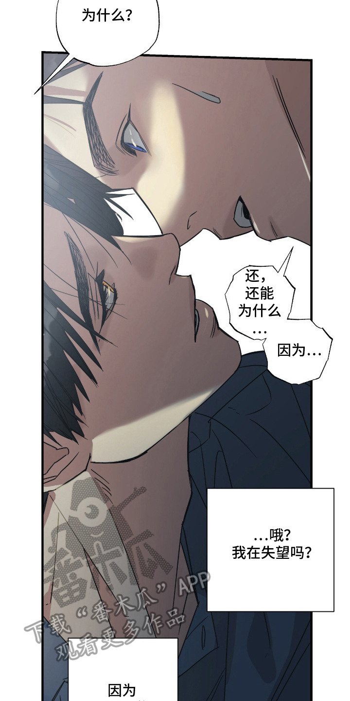 猫大爷和我漫画,第5章：失望4图