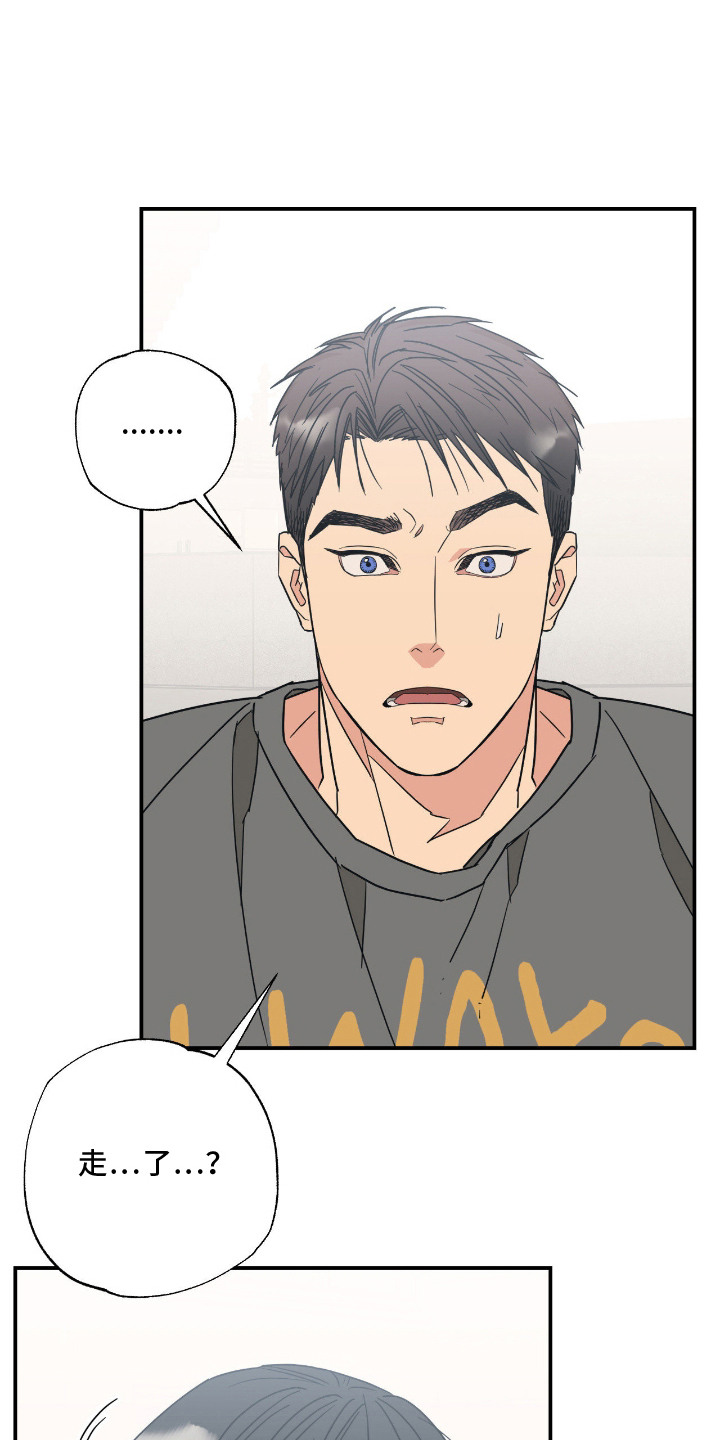 猫大爷和我漫画,第10章：喜欢你2图