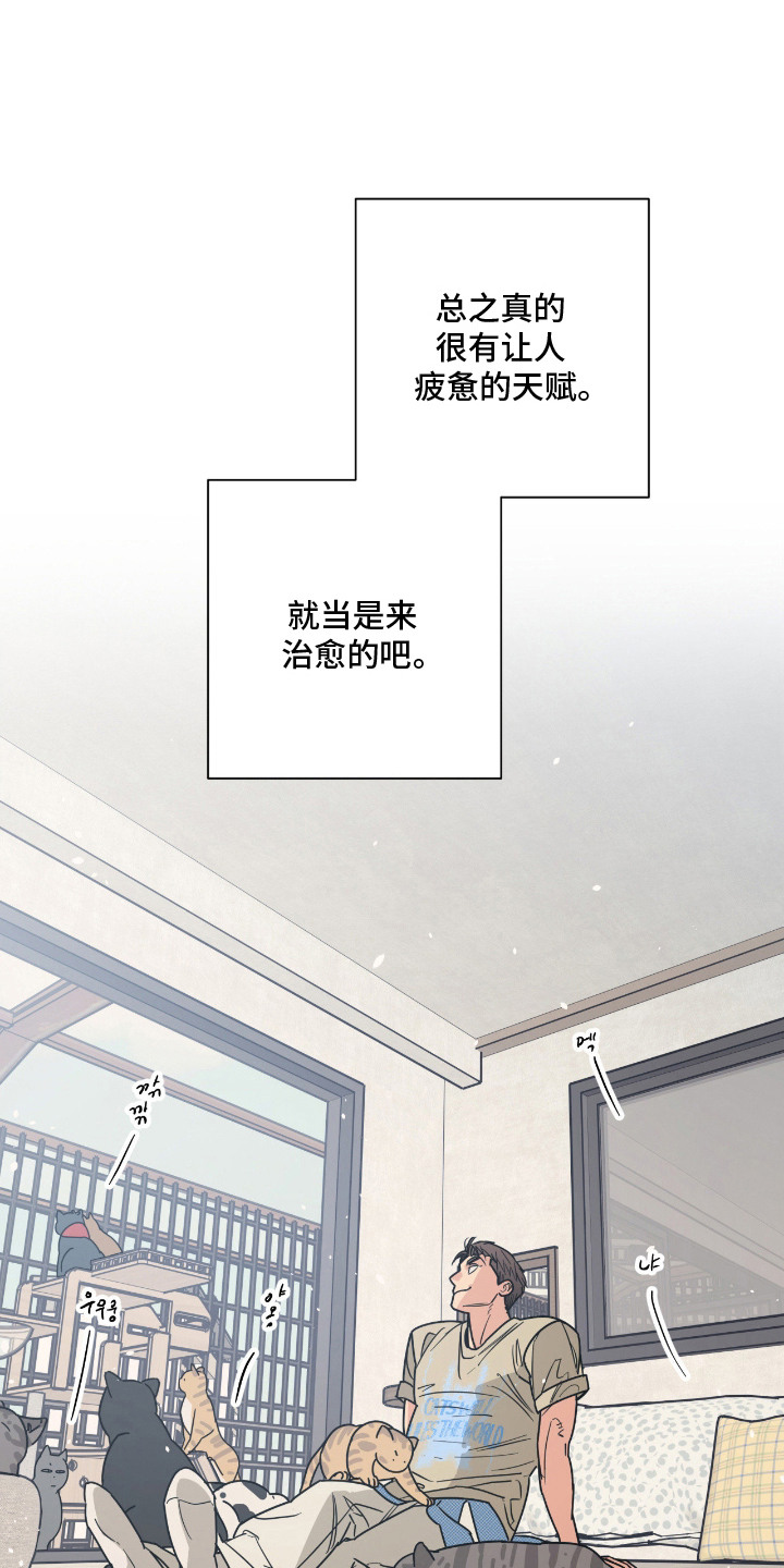 猫大爷和我漫画,第8章：不浪漫1图