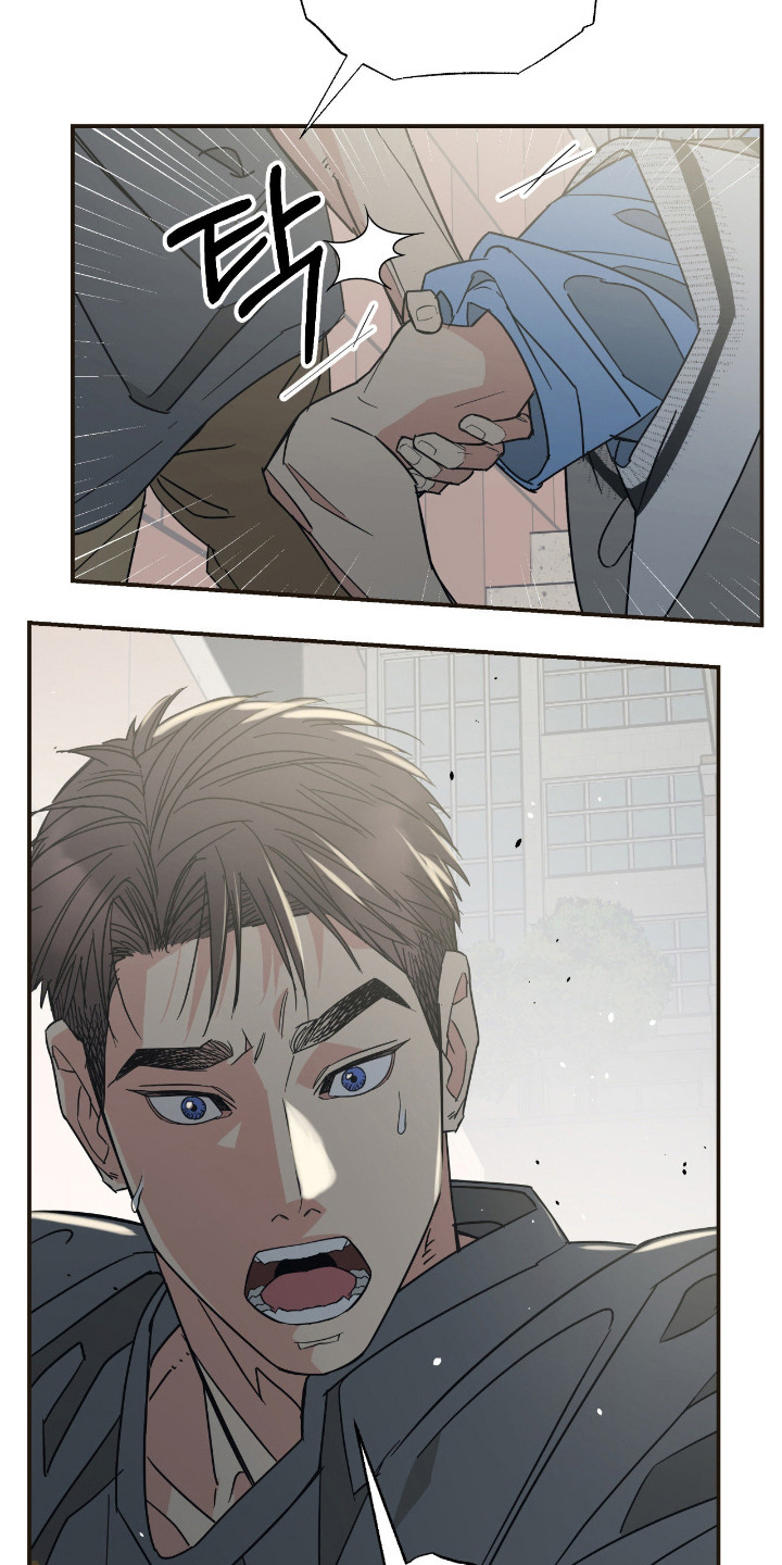 猫大爷和我漫画,第14章：坦诚1图
