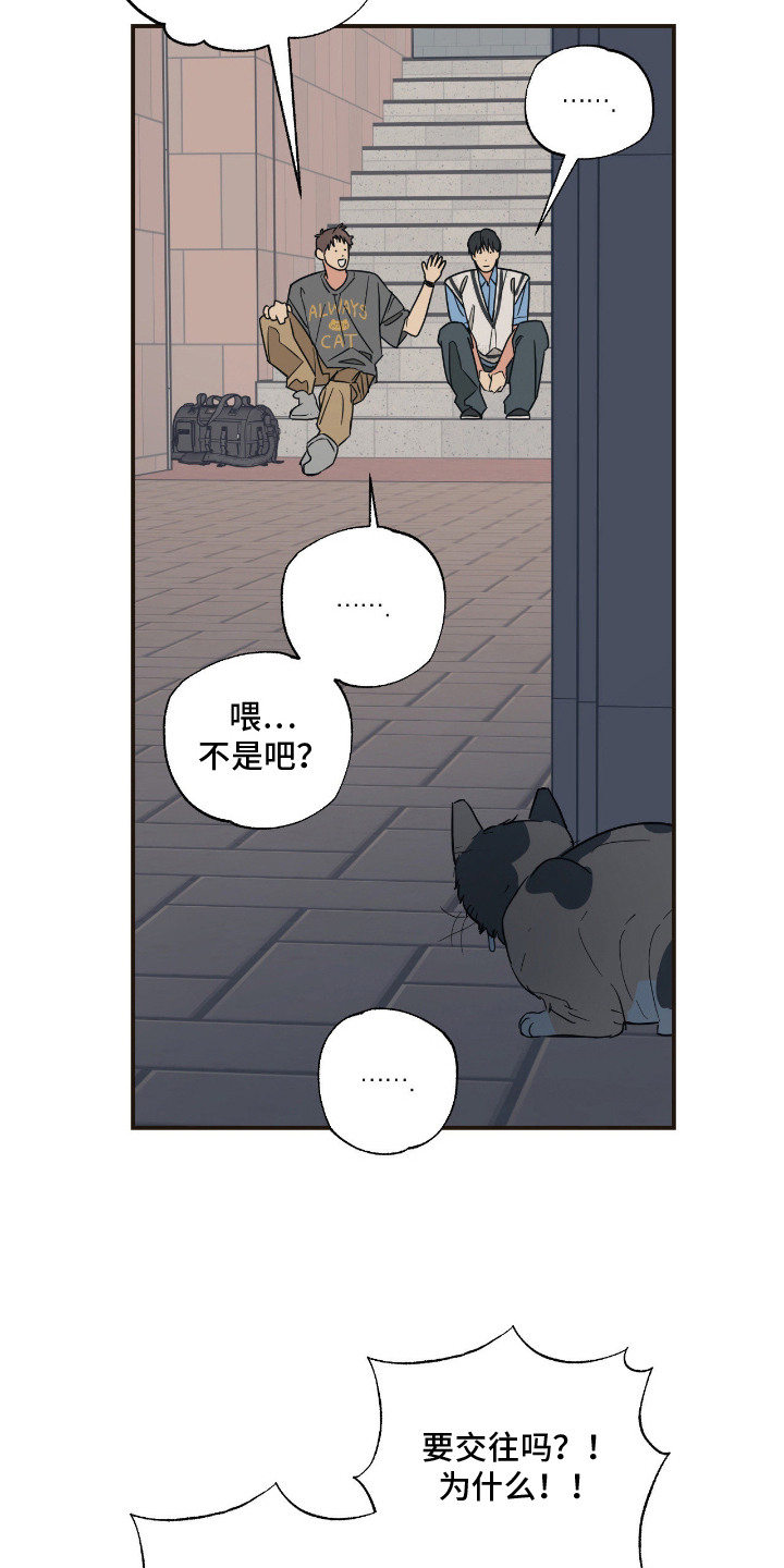 猫大爷和我漫画,第14章：坦诚3图