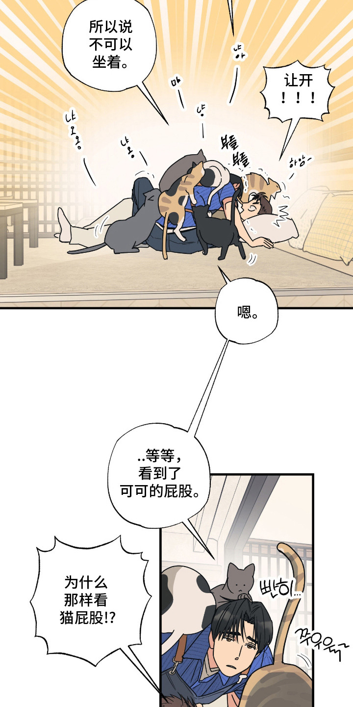 猫大爷和我漫画,第7章：试探1图
