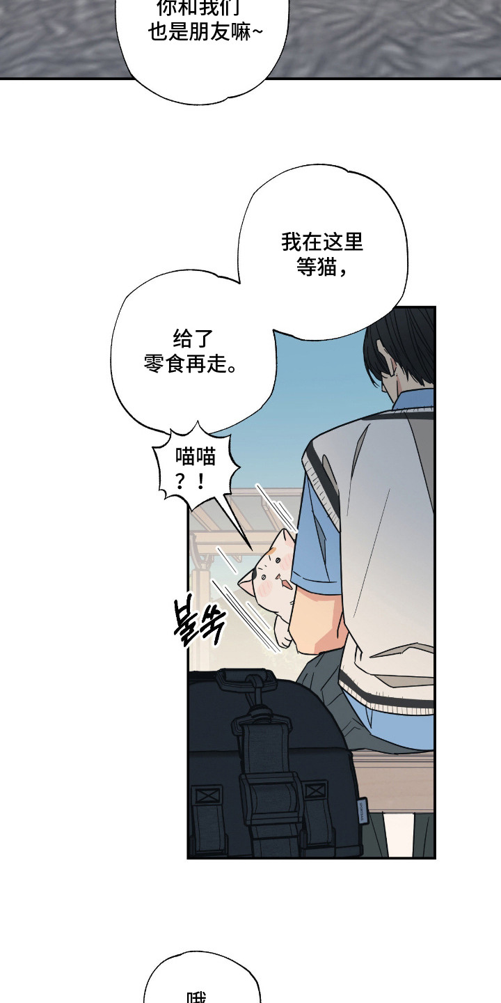 猫大爷和我漫画,第10章：喜欢你4图