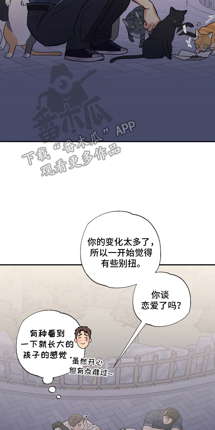 猫大爷和我漫画,第2章：野猫4图
