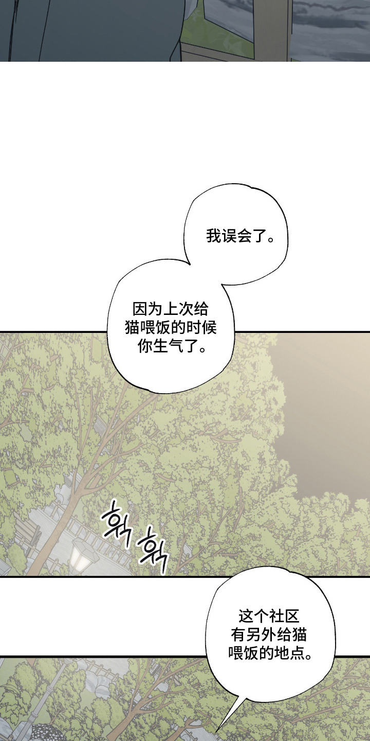 猫大爷和我漫画,第13章：误会4图