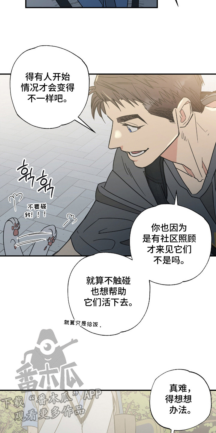 猫大爷和我漫画,第11章：不能不管2图