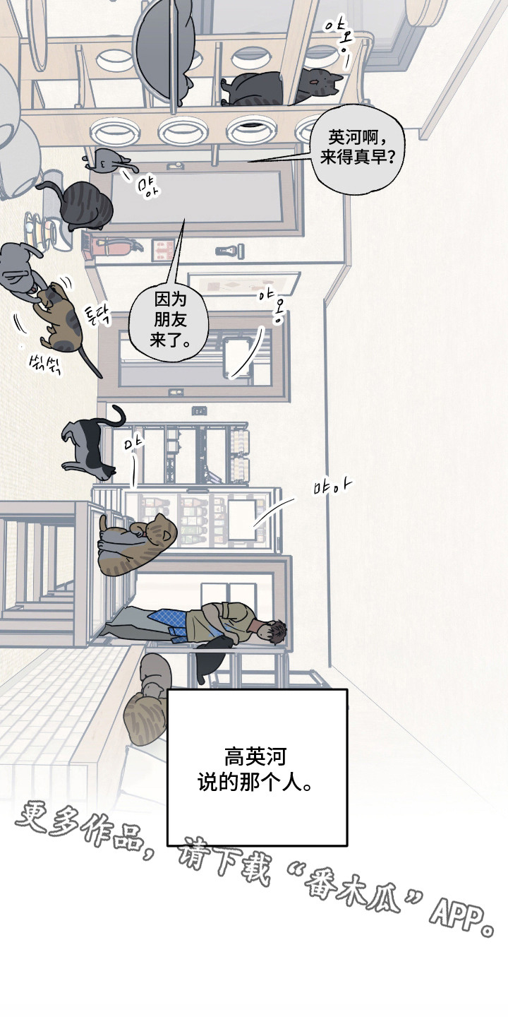 猫大爷和我漫画,第6章：大叔5图