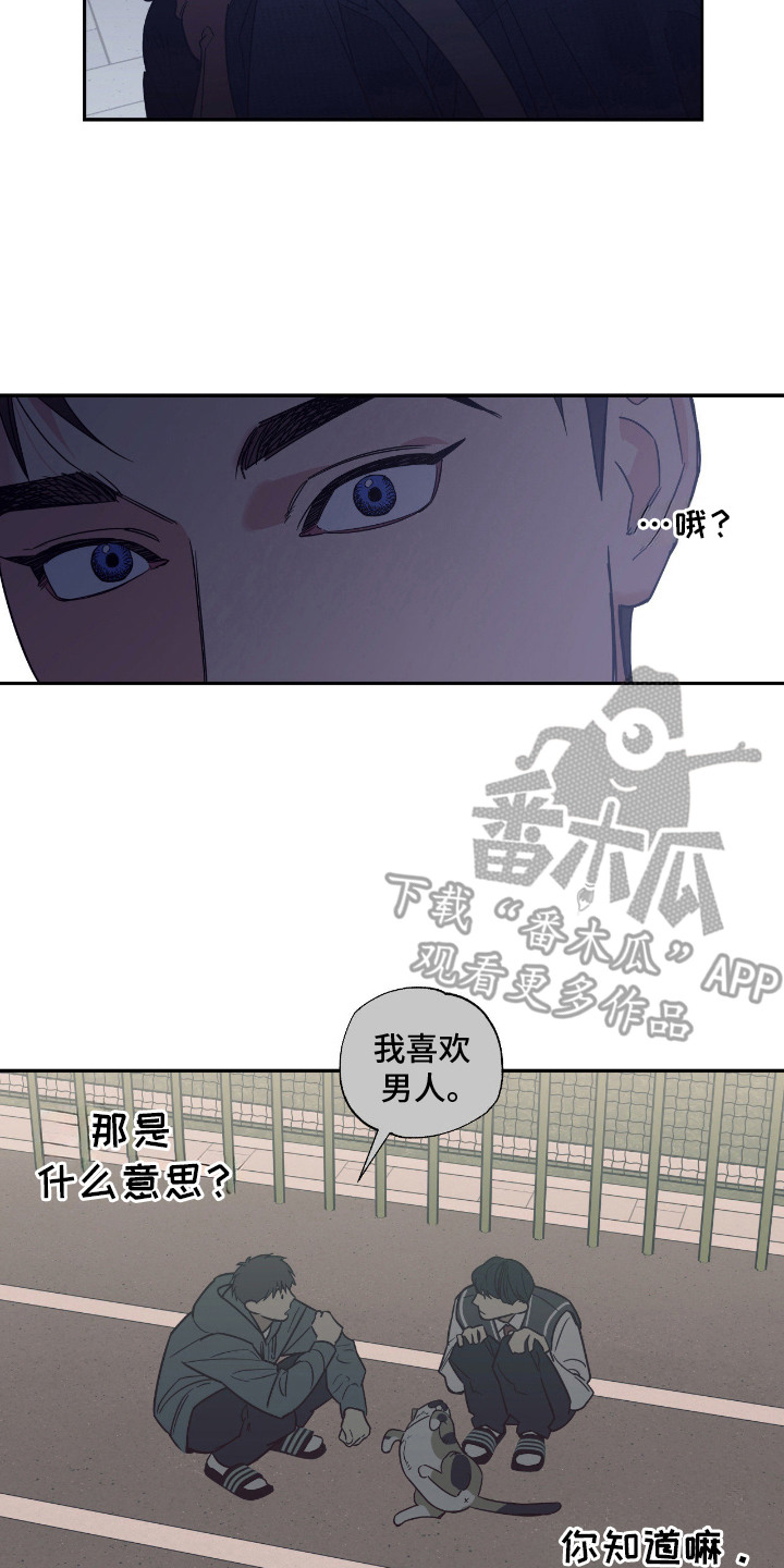 猫大爷和我漫画,第2章：野猫5图