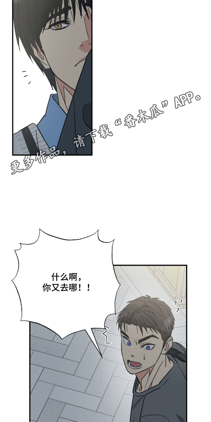 猫大爷和我漫画,第12章：没交往过1图