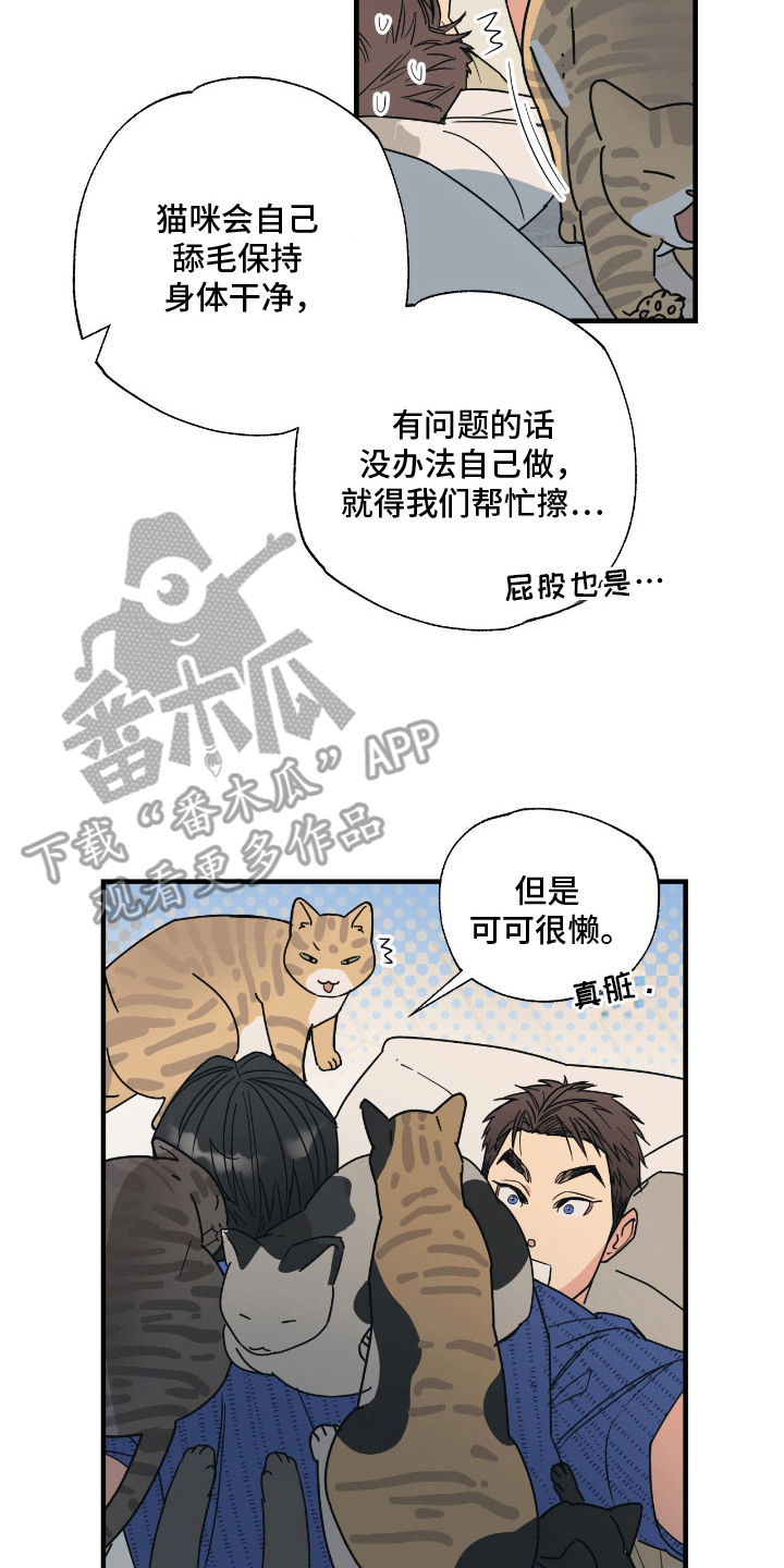 猫大爷和我漫画,第7章：试探2图