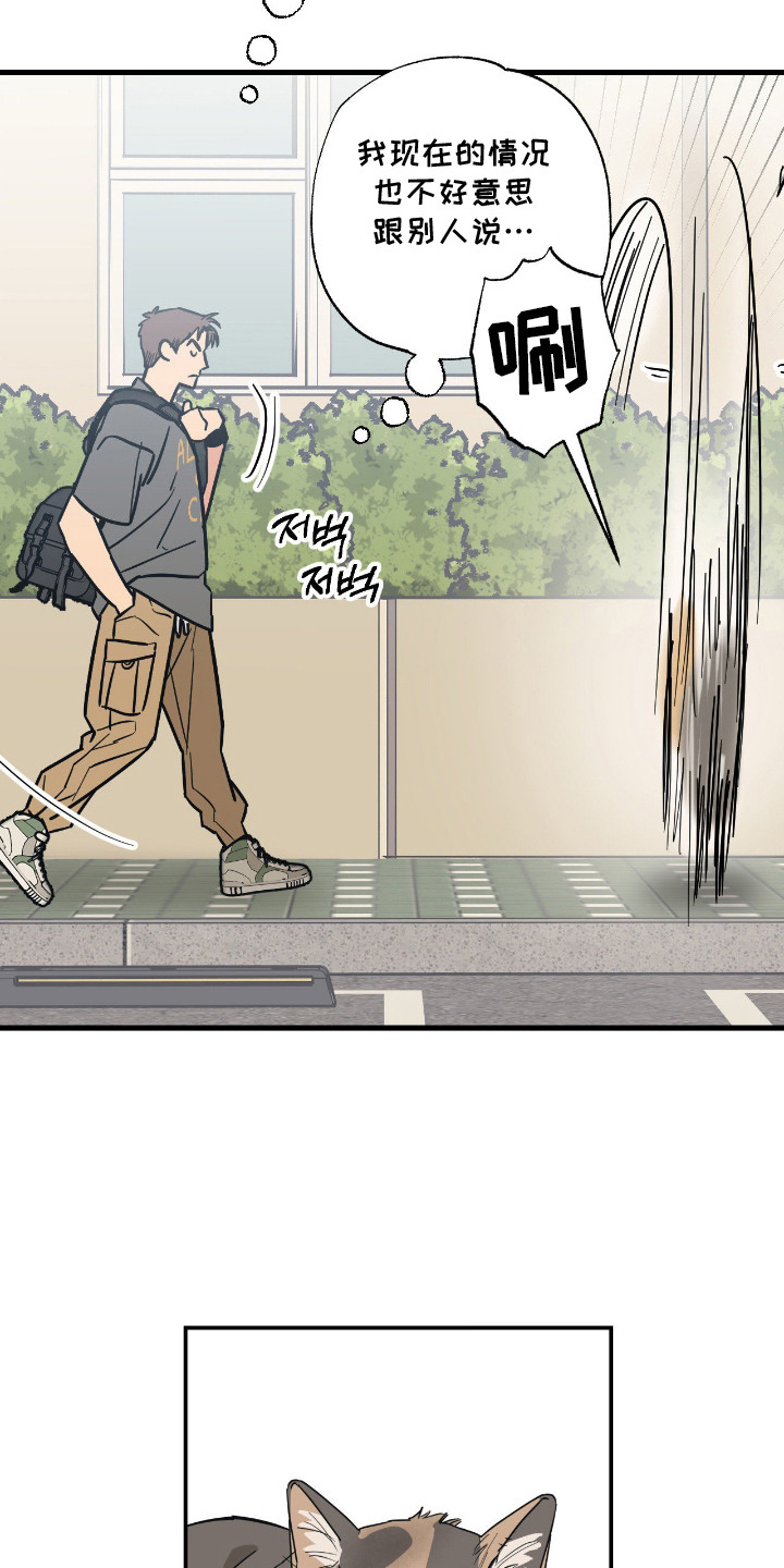 猫大爷和我漫画,第9章：绝交3图