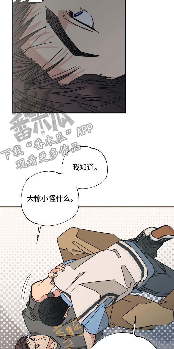 猫大爷和我漫画,第14章：坦诚3图