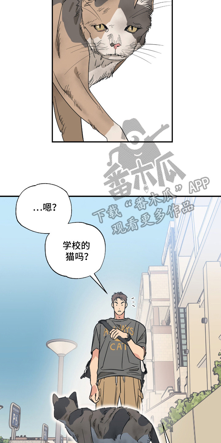猫大爷和我漫画,第9章：绝交4图