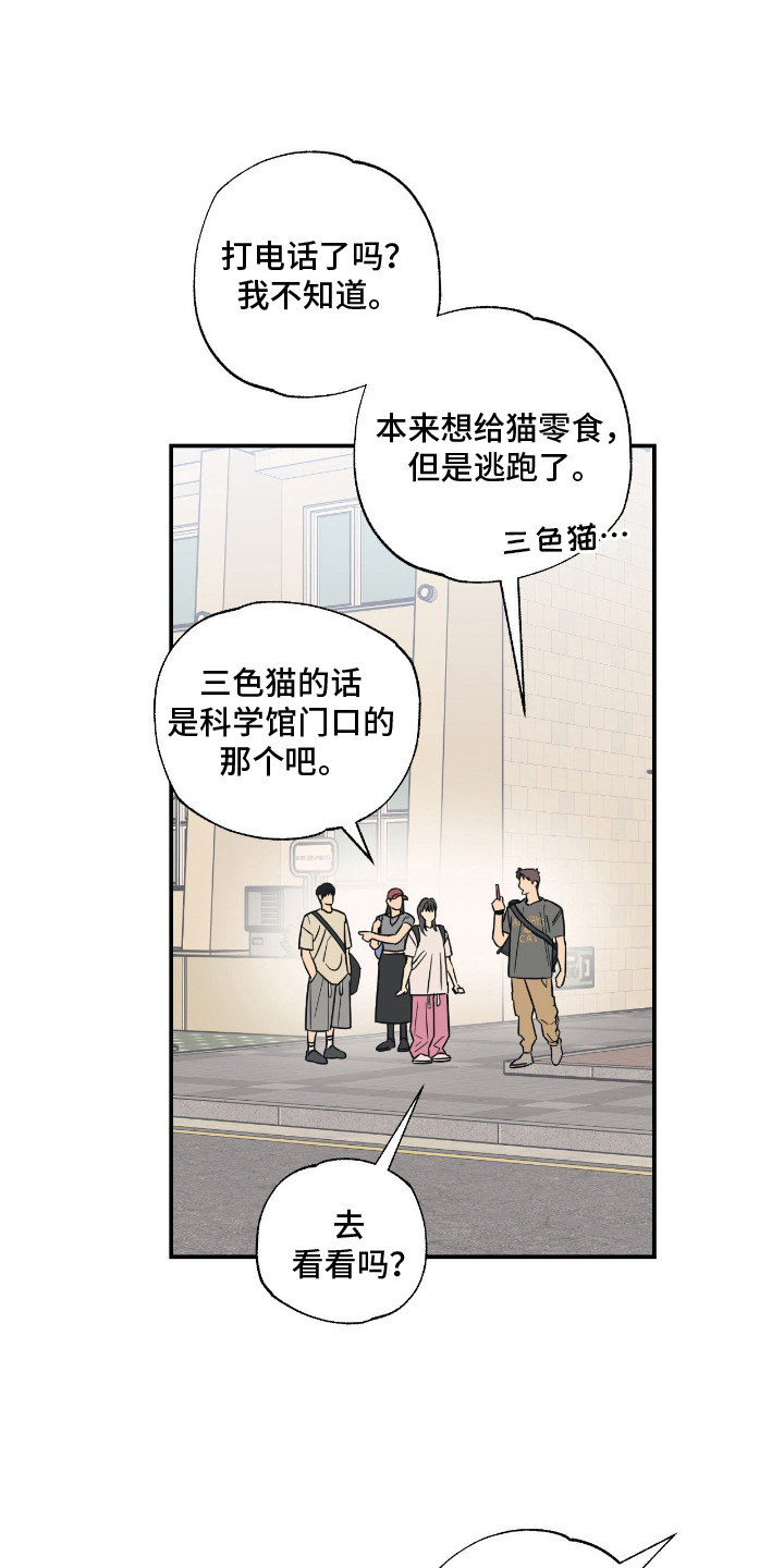 猫大爷和我漫画,第9章：绝交3图