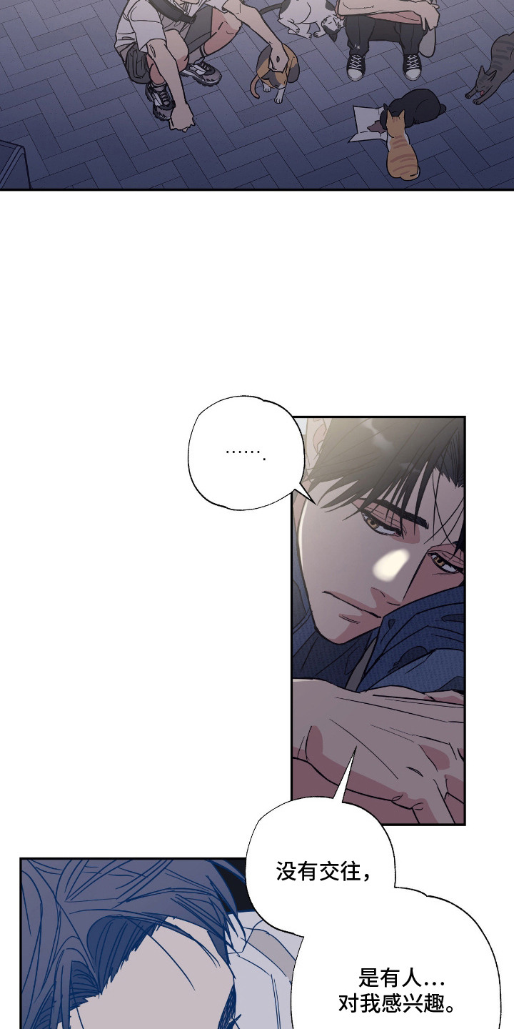 猫大爷和我漫画,第2章：野猫5图